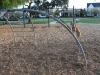 on the jungle gym