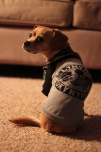 Kona's Lynyrd Skynyrd shirt